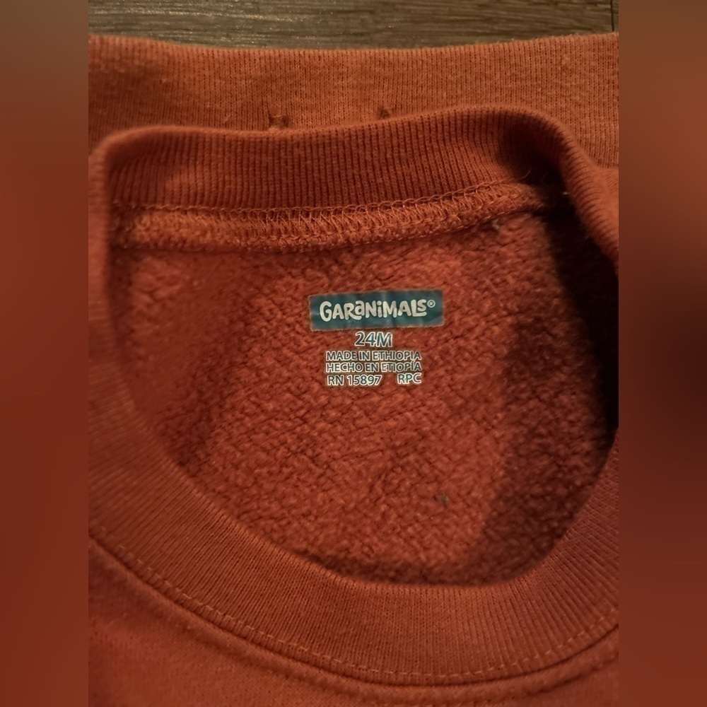 Garanimals dino sweatshirt and sweatpants, 24 months and 2T - Picture 3 of 5
